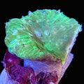 Neon Green Cabbage Leather