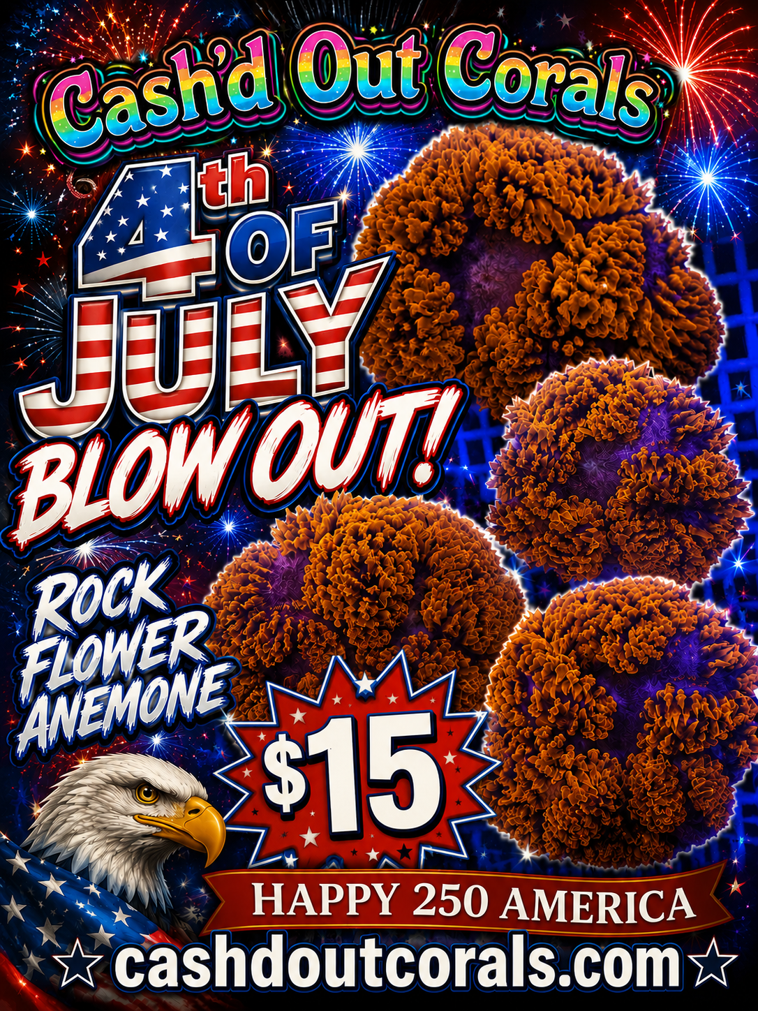 RED Rock Flower Anemone